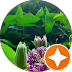 Petals Testimonial